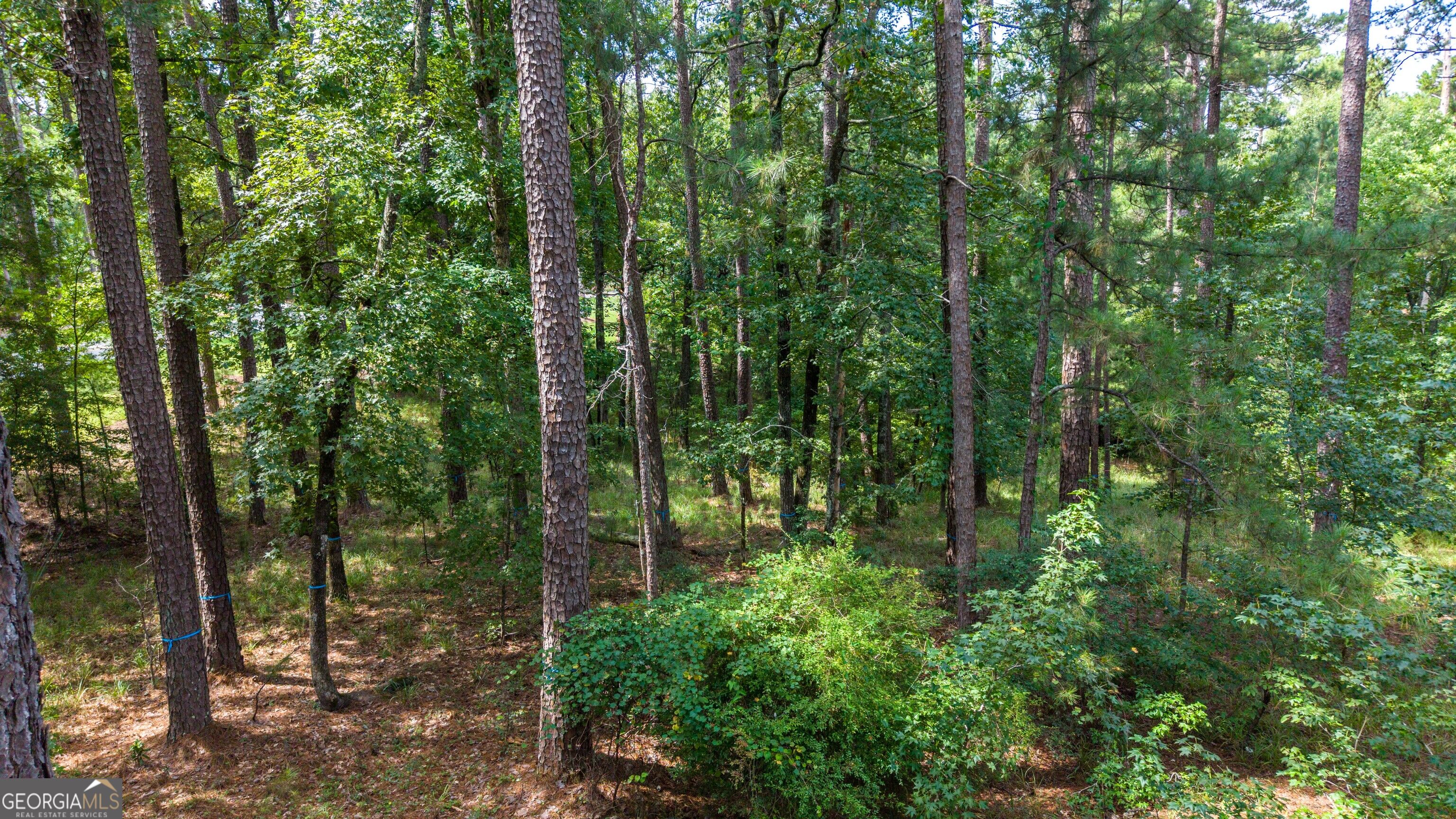 1151 Scull Shoals Drive Property Photo 18