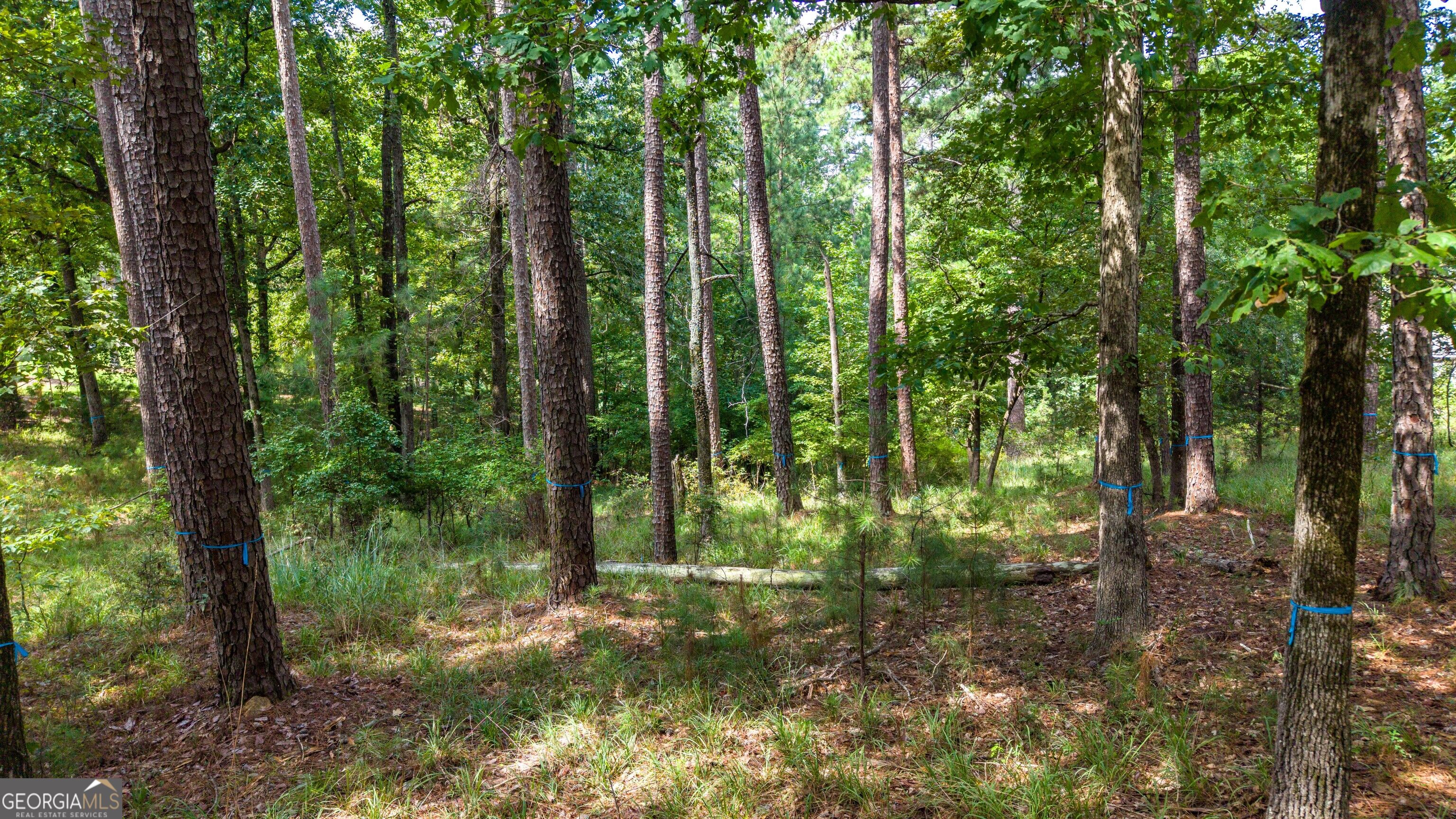 1151 Scull Shoals Drive Property Photo 19