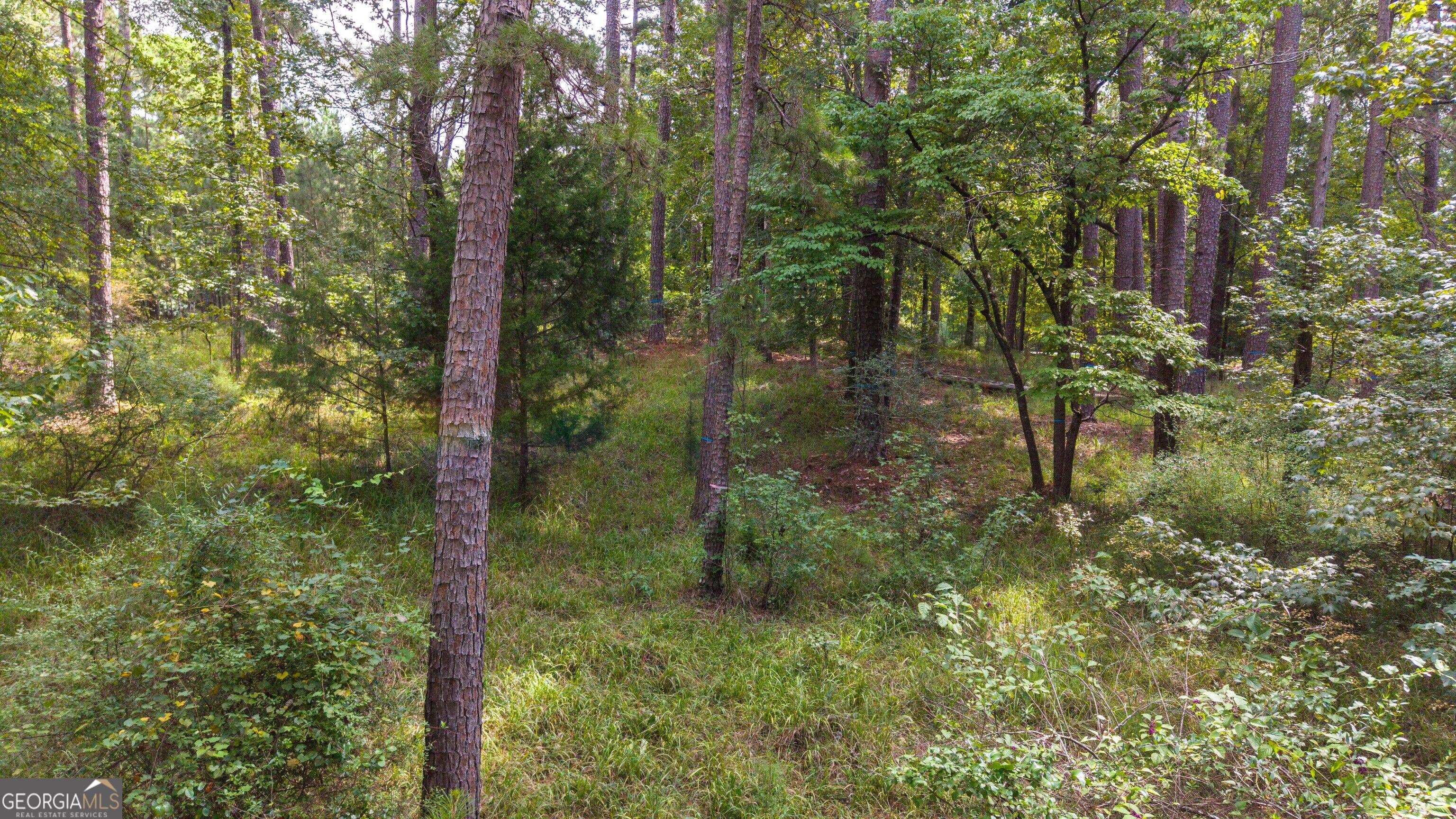 1151 Scull Shoals Drive Property Photo 20