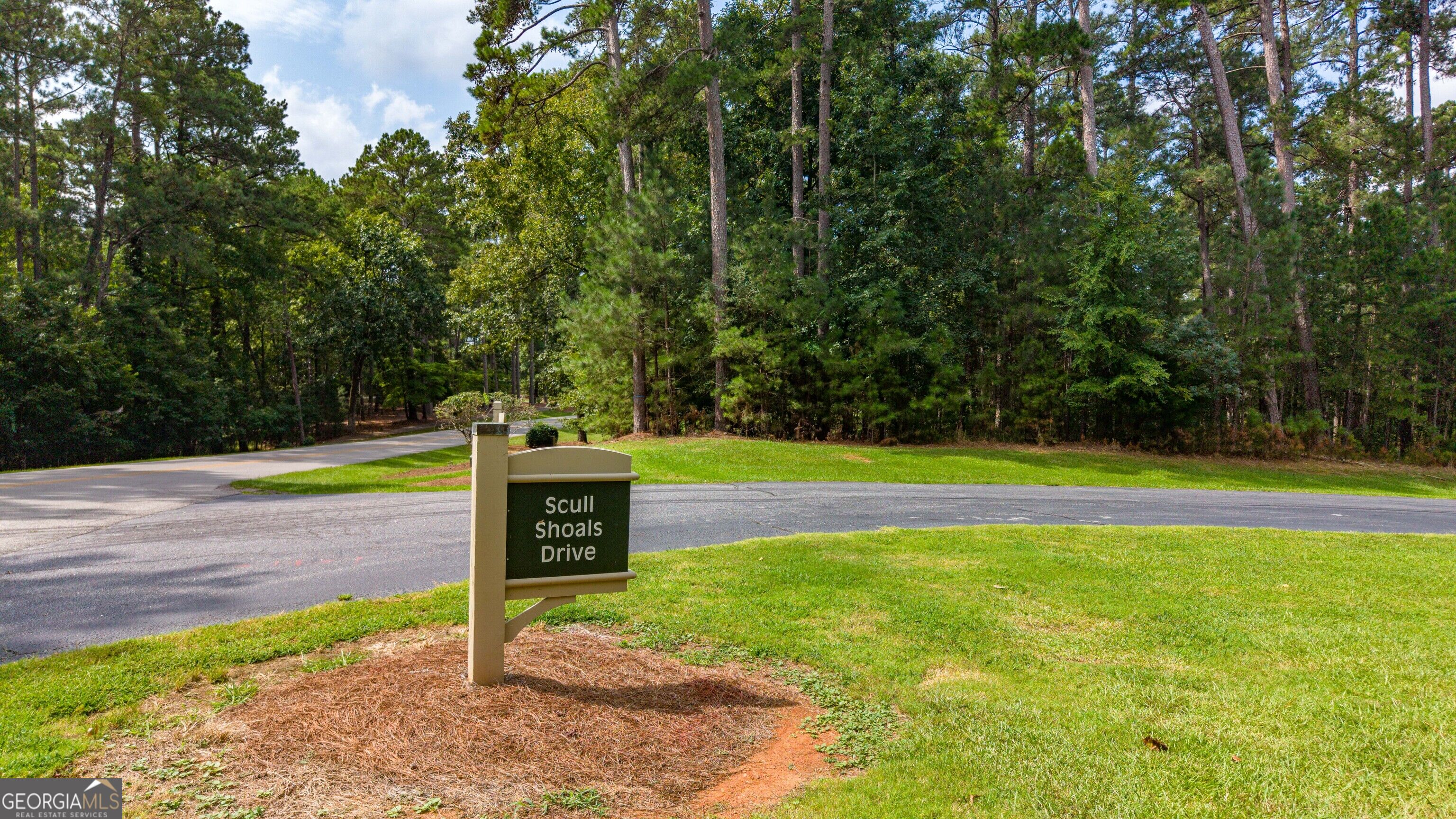 1151 Scull Shoals Drive Property Photo 21