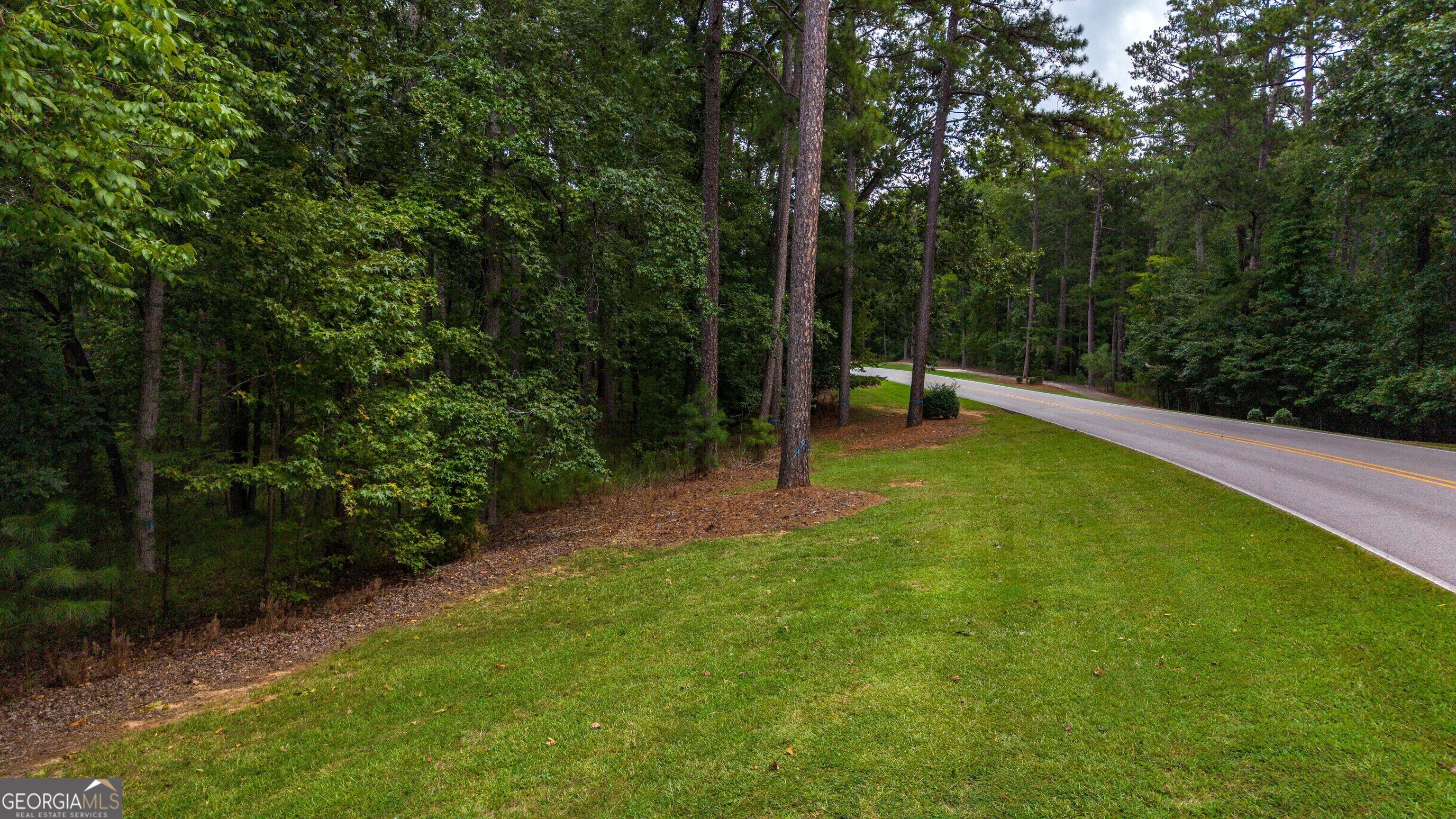 1151 Scull Shoals Drive Property Photo 22
