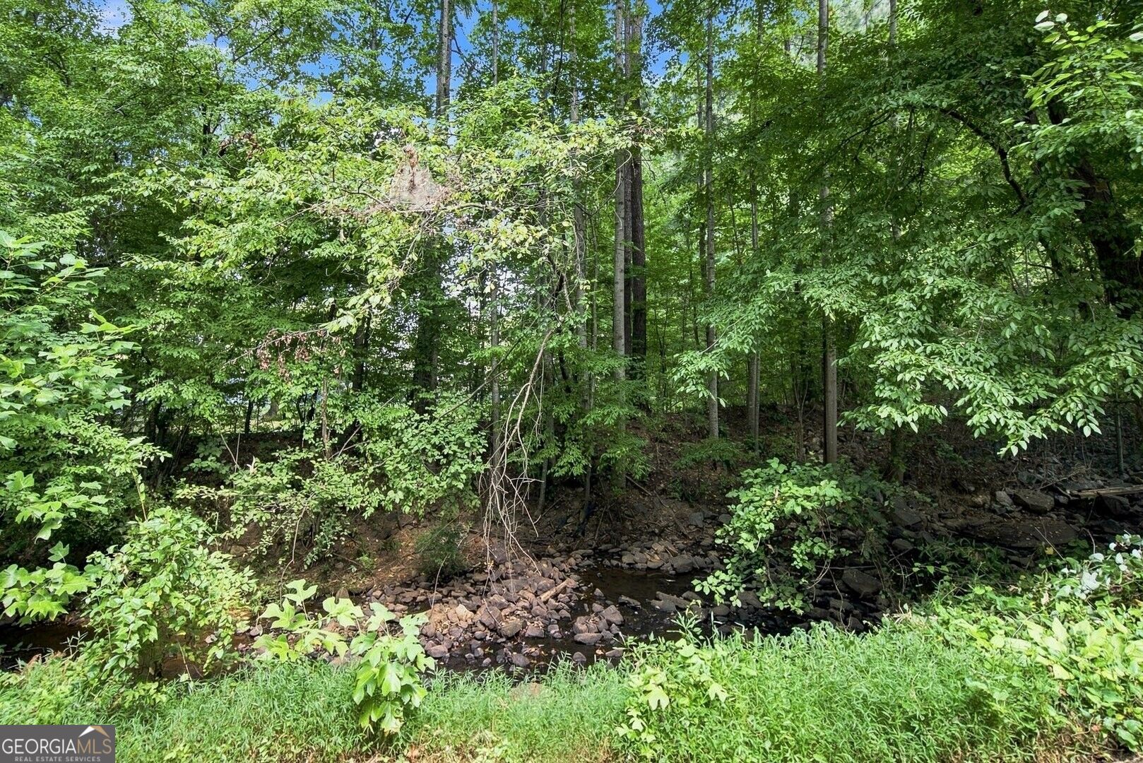 630 Mistflower Drive Property Photo 55