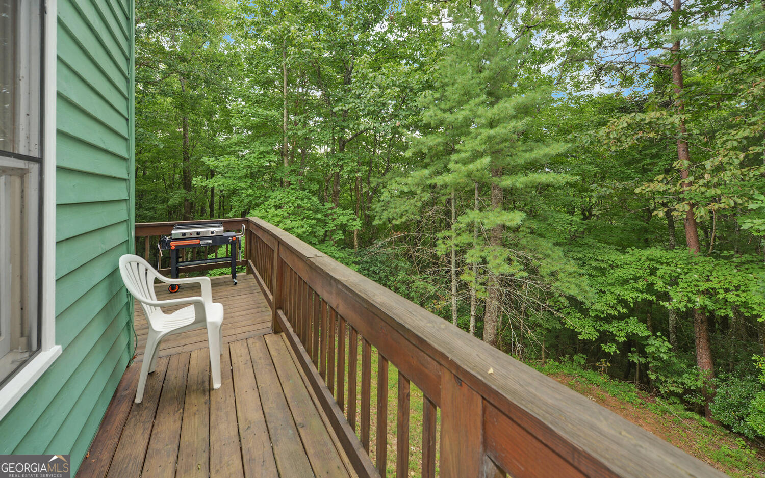 1055 Wolfpen Trail Property Photo 25