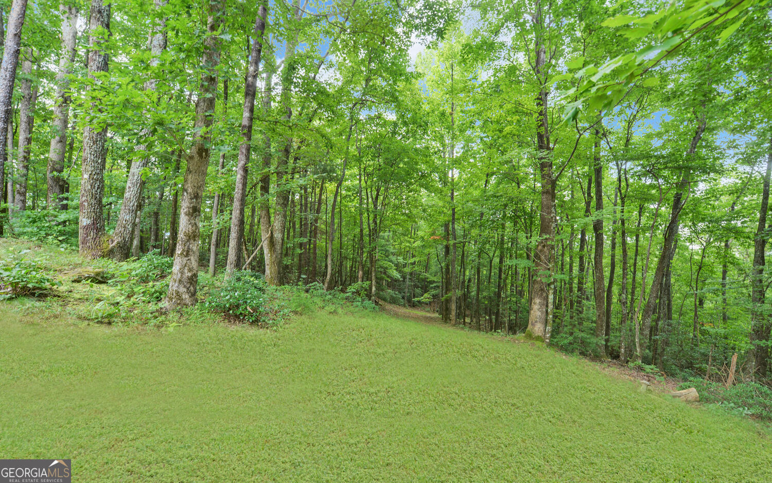 1055 Wolfpen Trail Property Photo 42