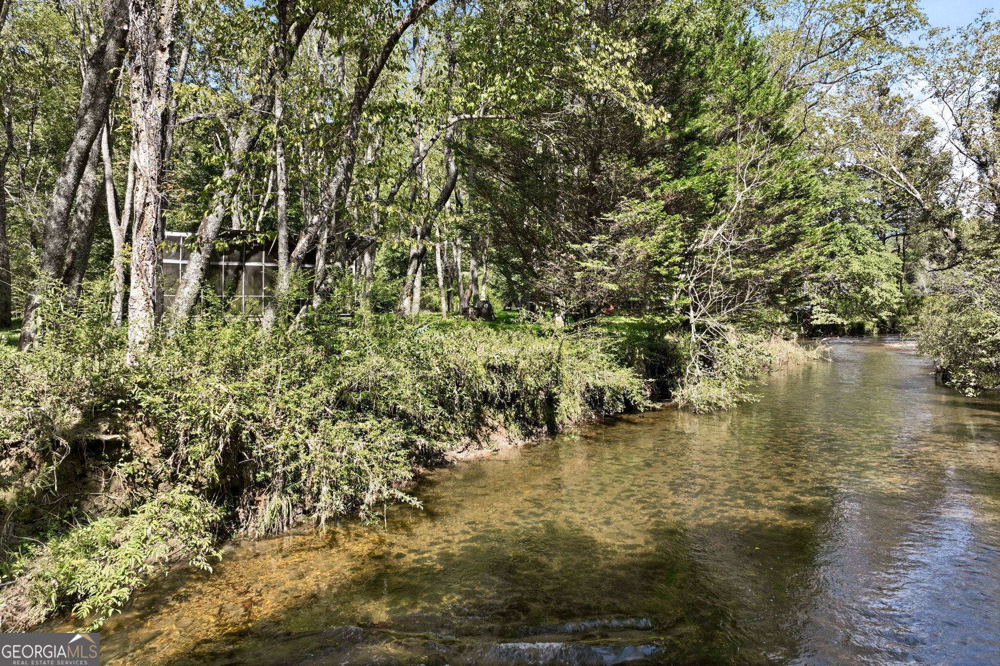 7925 State Hwy 60 Property Photo 11