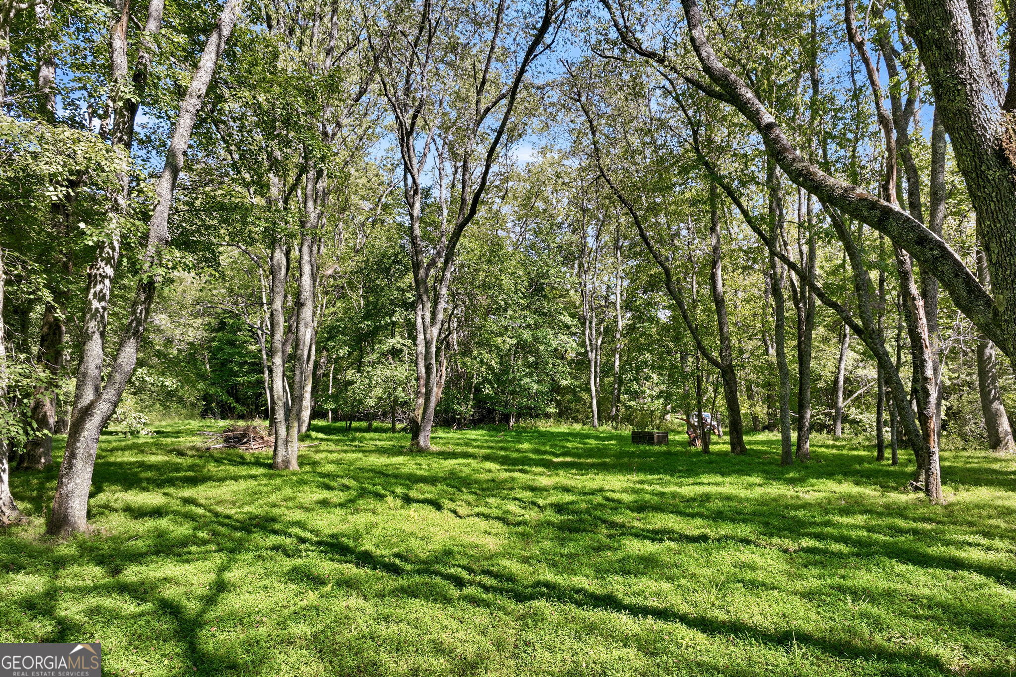 7925 State Hwy 60 Property Photo 50