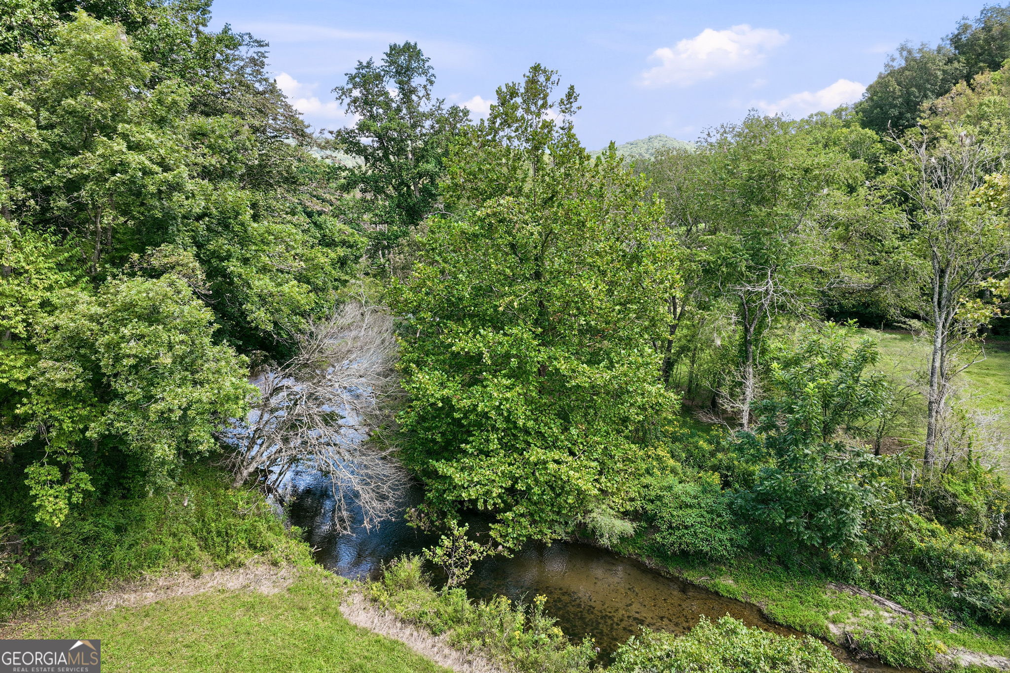 7925 State Hwy 60 Property Photo 53