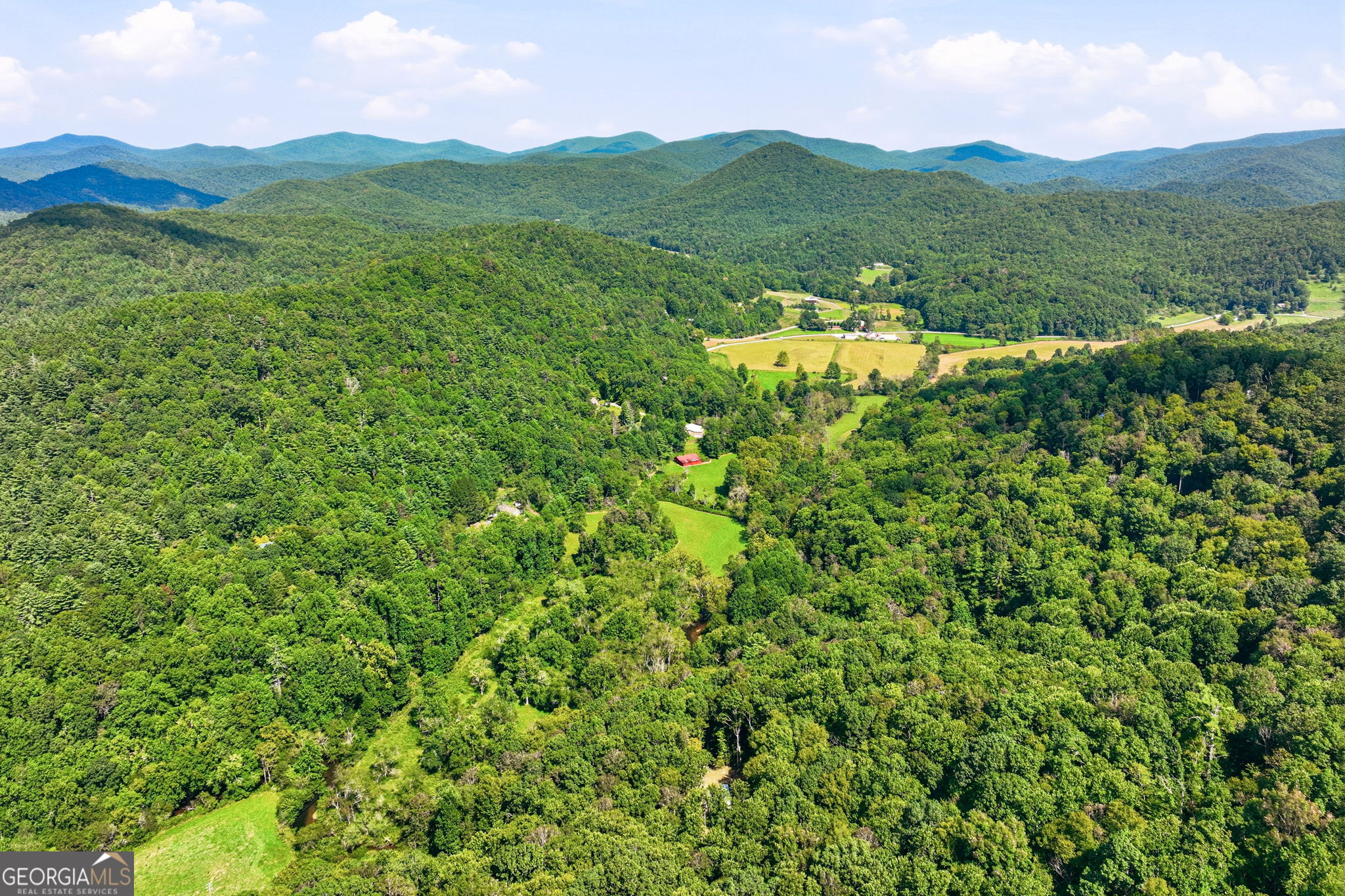 7925 State Hwy 60 Property Photo 55
