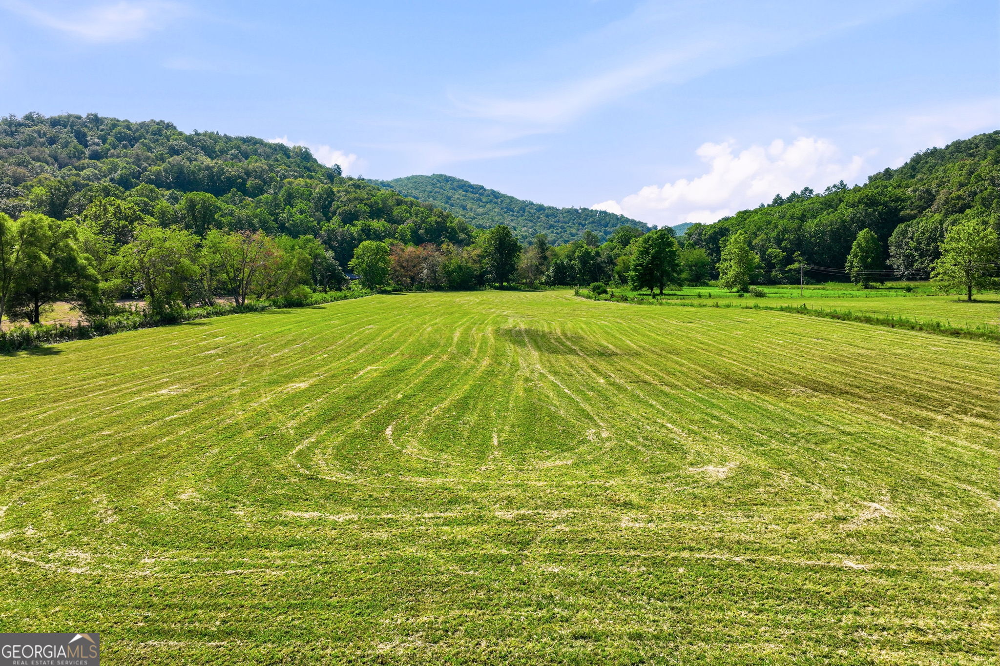 7925 State Hwy 60 Property Photo 61