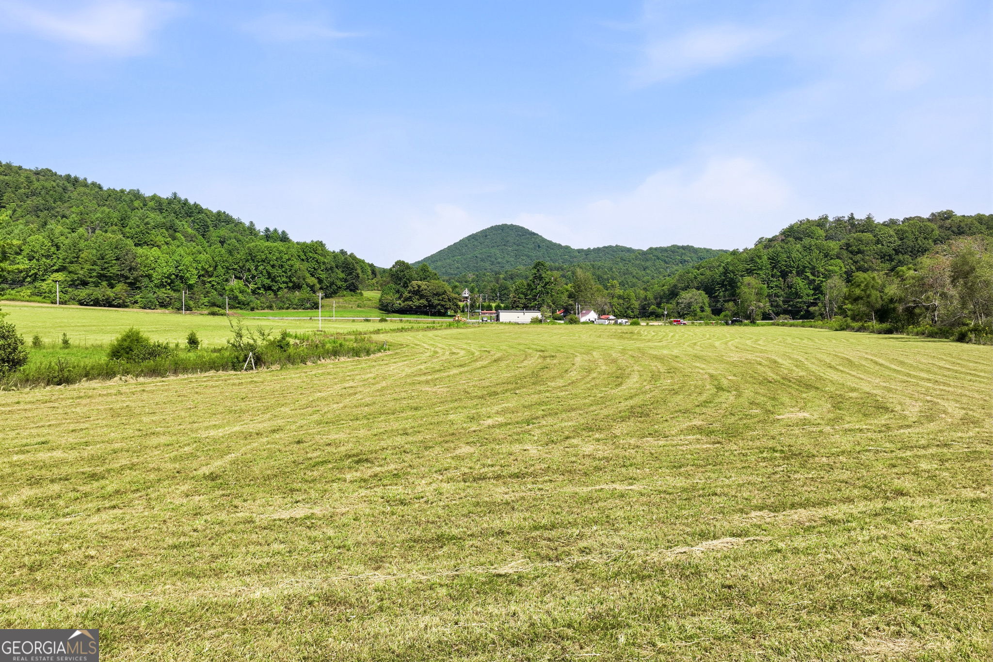 7925 State Hwy 60 Property Photo 62