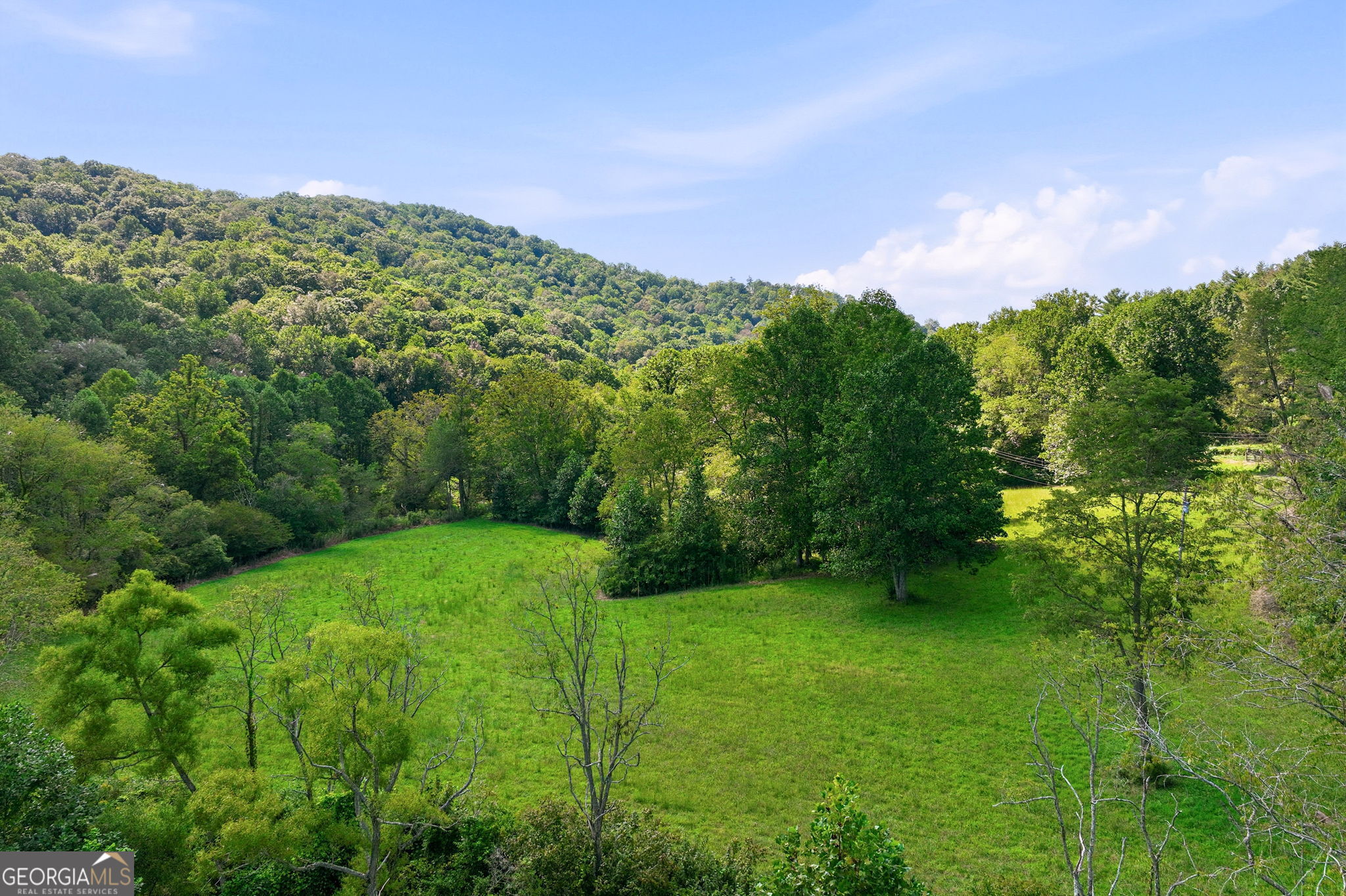 7925 State Hwy 60 Property Photo 68