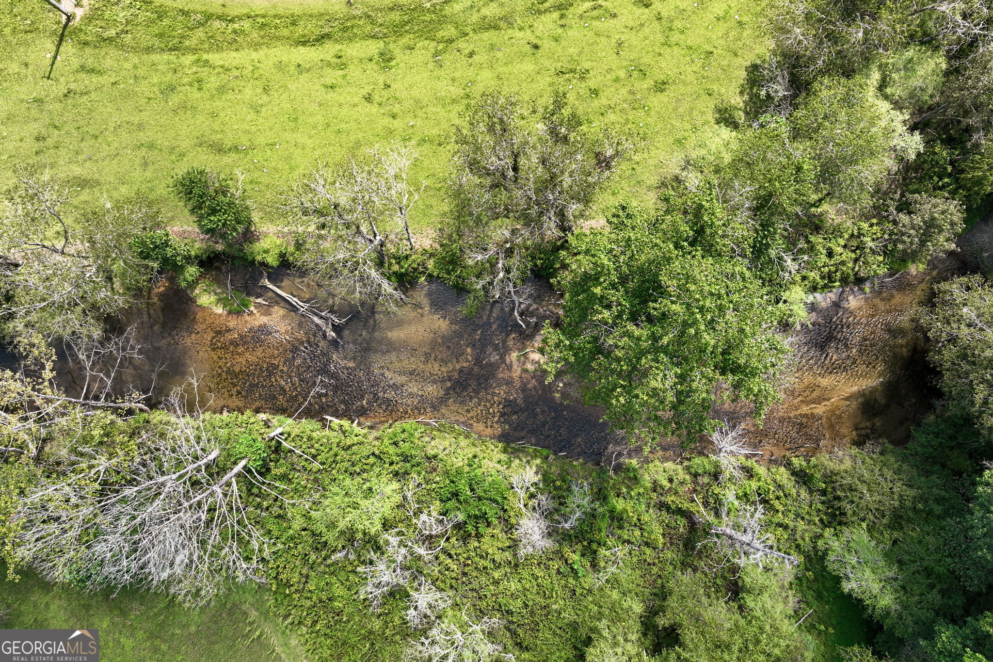 7925 State Hwy 60 Property Photo 73
