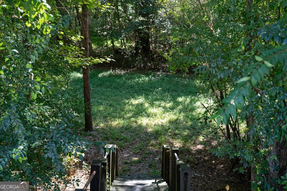 3164 Mill Springs Circle Property Photo 51