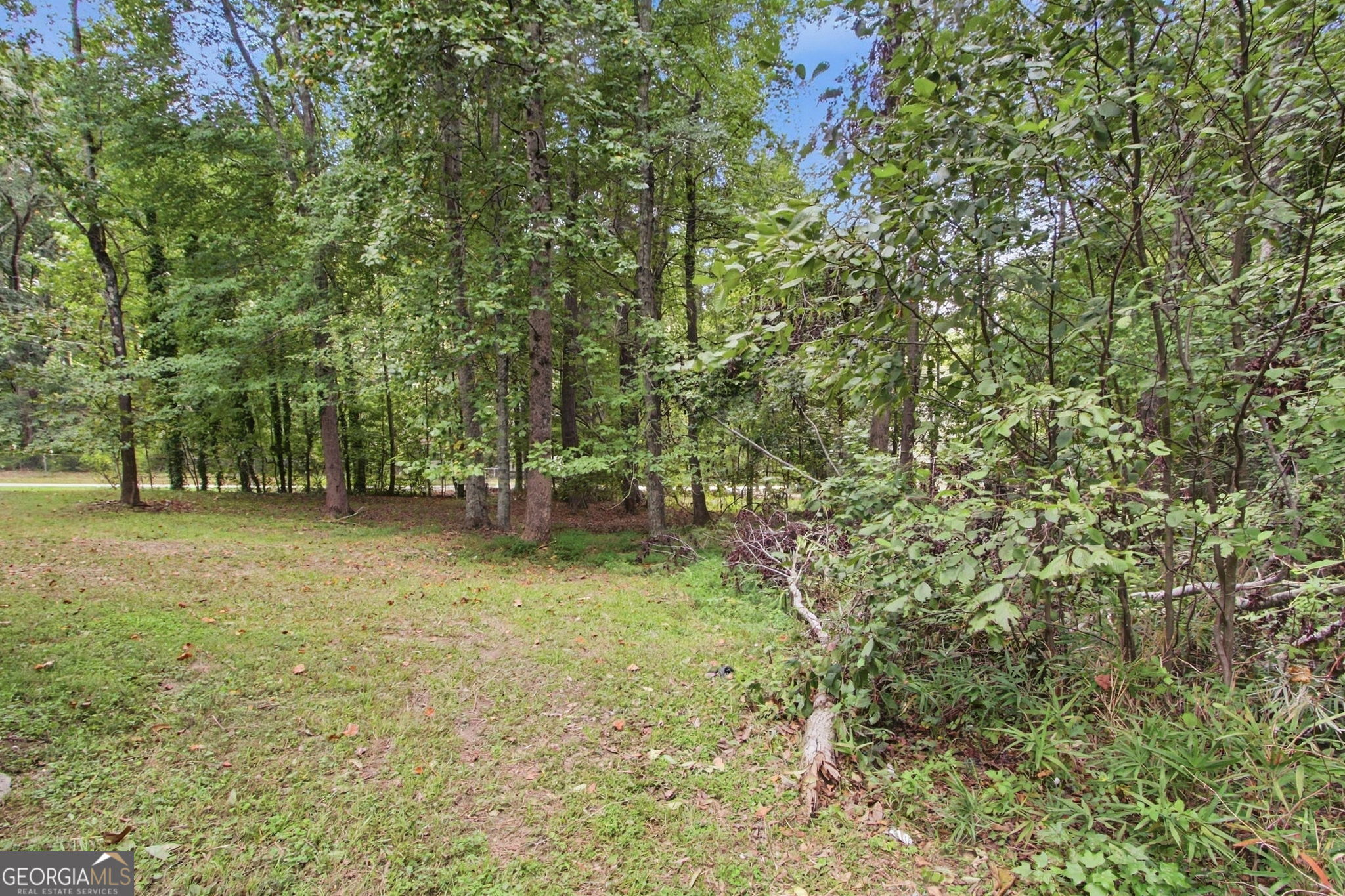 2900 Stonecrest Point Property Photo 40