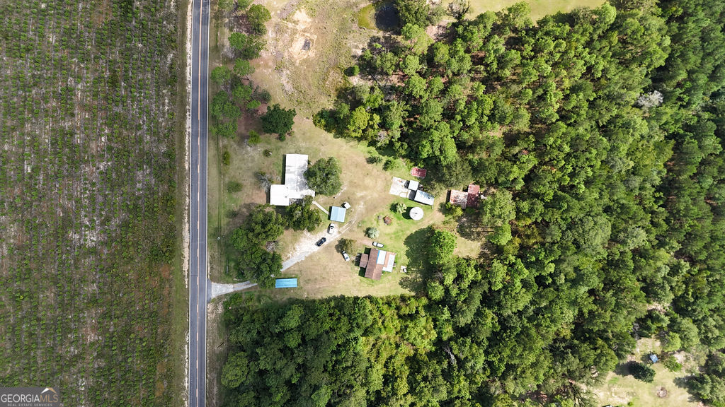 2618 Ga Hwy 86 Property Photo 55