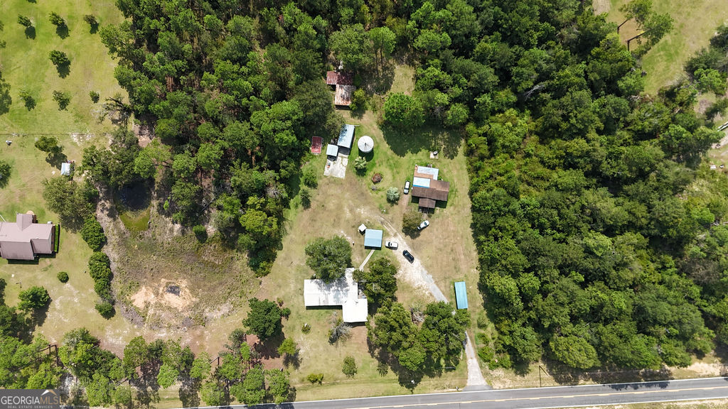 2618 Ga Hwy 86 Property Photo 58