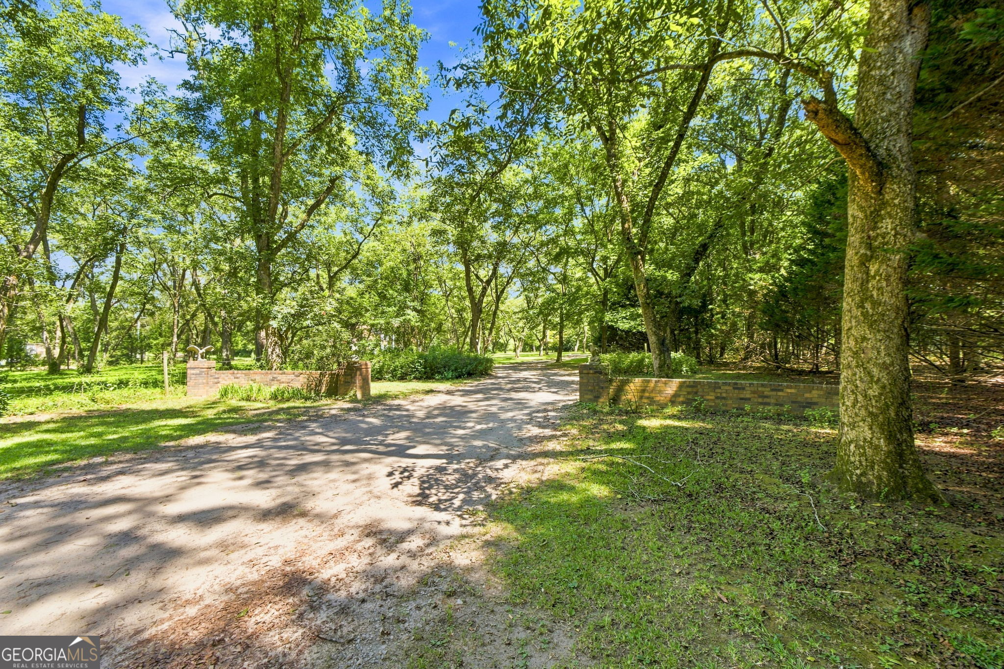 169 Silver Dollar Road Property Photo 50