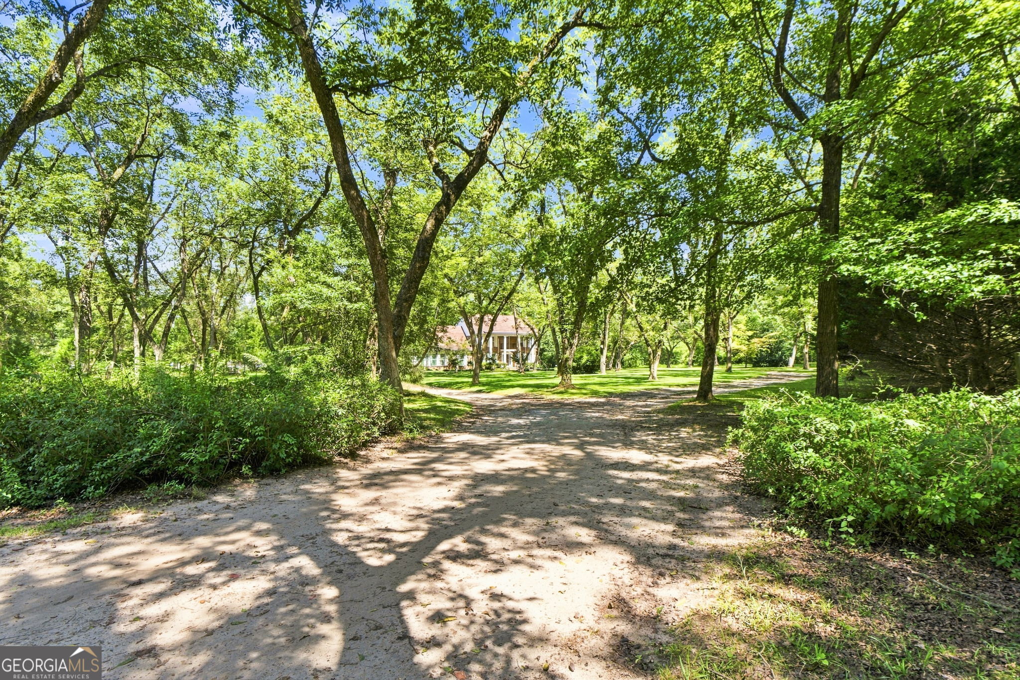 169 Silver Dollar Road Property Photo 51