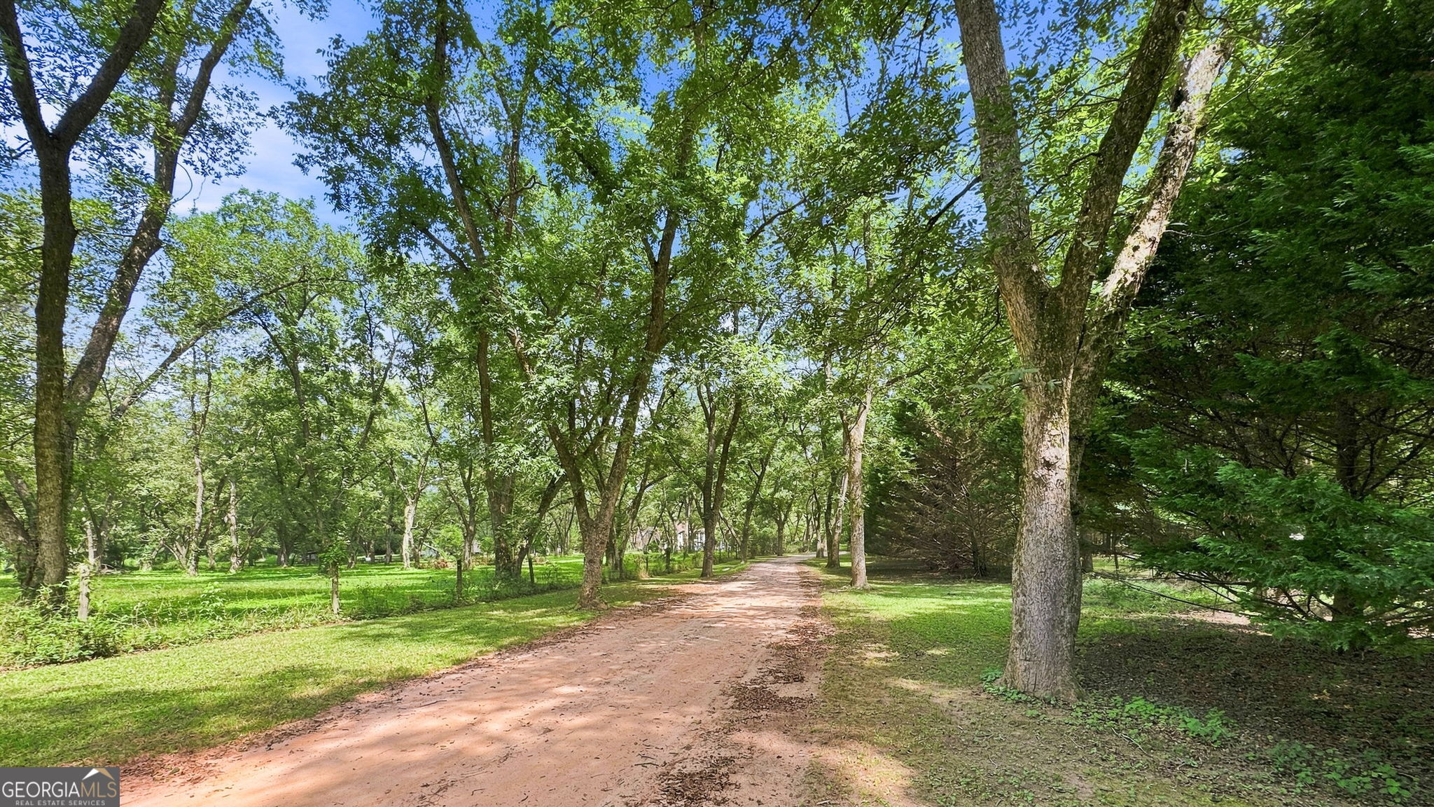 169 Silver Dollar Road Property Photo 57