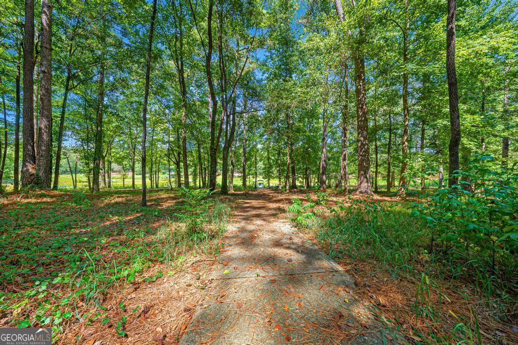 241 Grizzly Bear Lane Property Photo 38