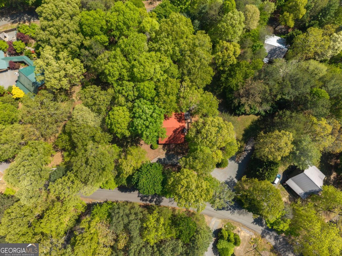 80 Stegall Mill Ridge Property Photo 4