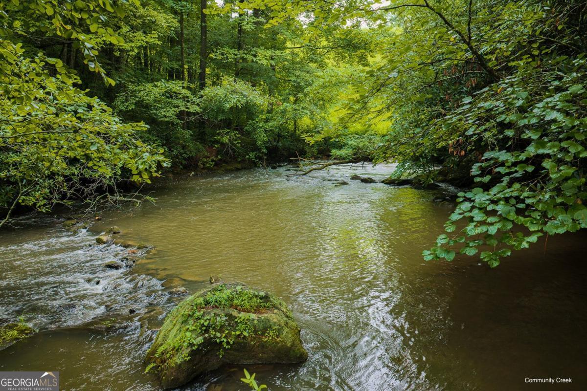 196 Creek Camp Road Property Photo 39
