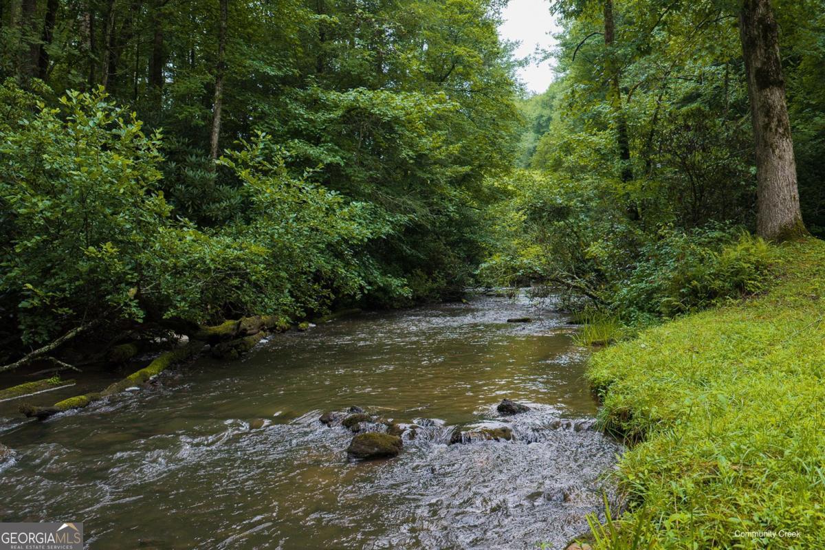196 Creek Camp Road Property Photo 41