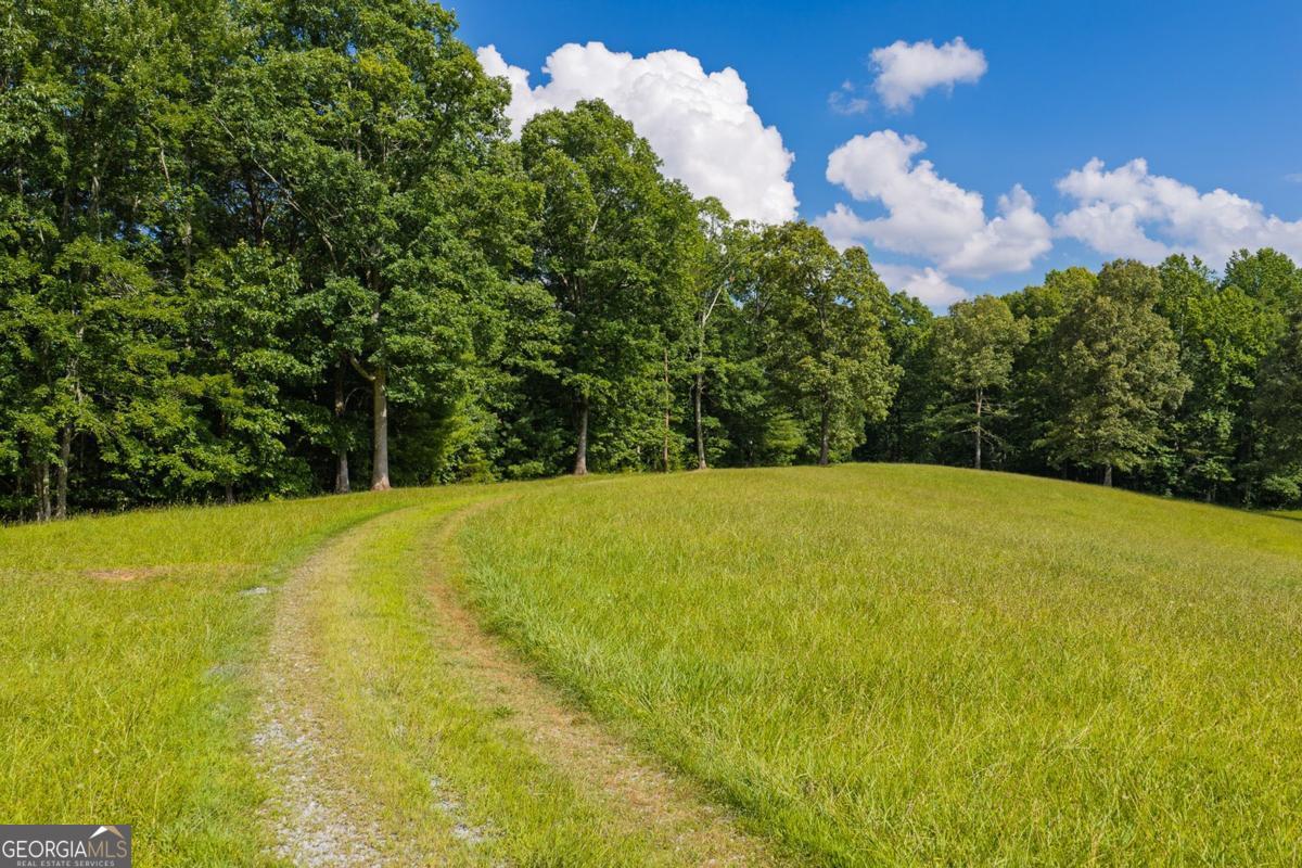 196 Creek Camp Road Property Photo 45