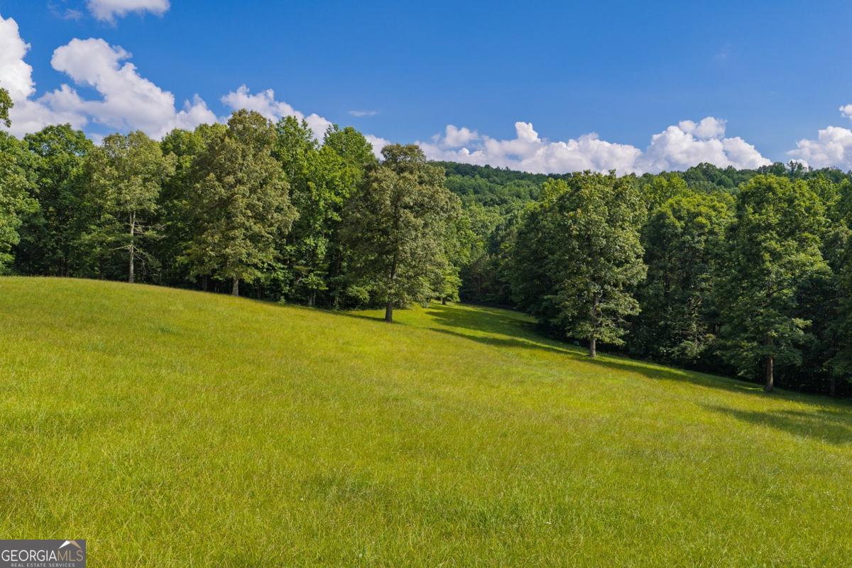 196 Creek Camp Road Property Photo 46