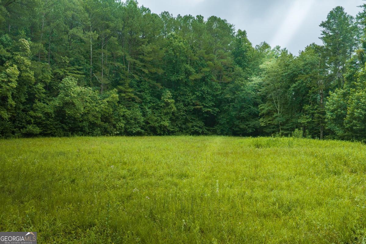 196 Creek Camp Road Property Photo 53