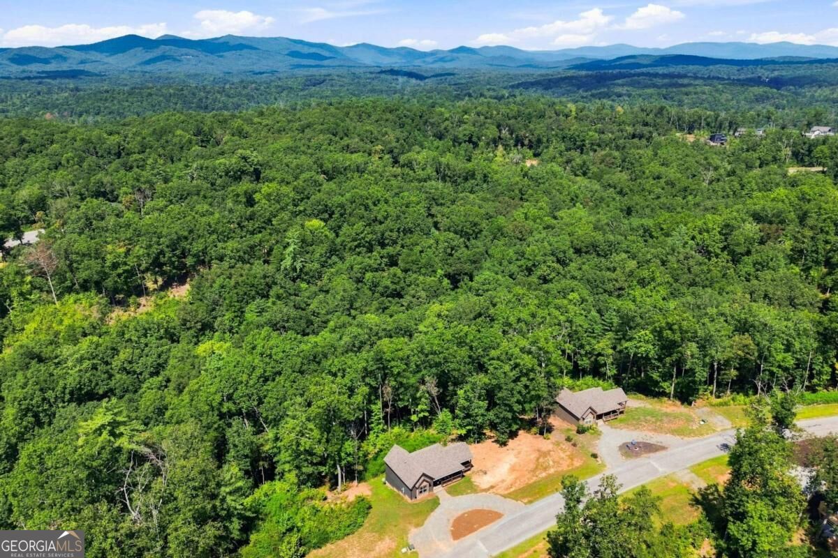 450 Jakes Landing Way Property Photo 26