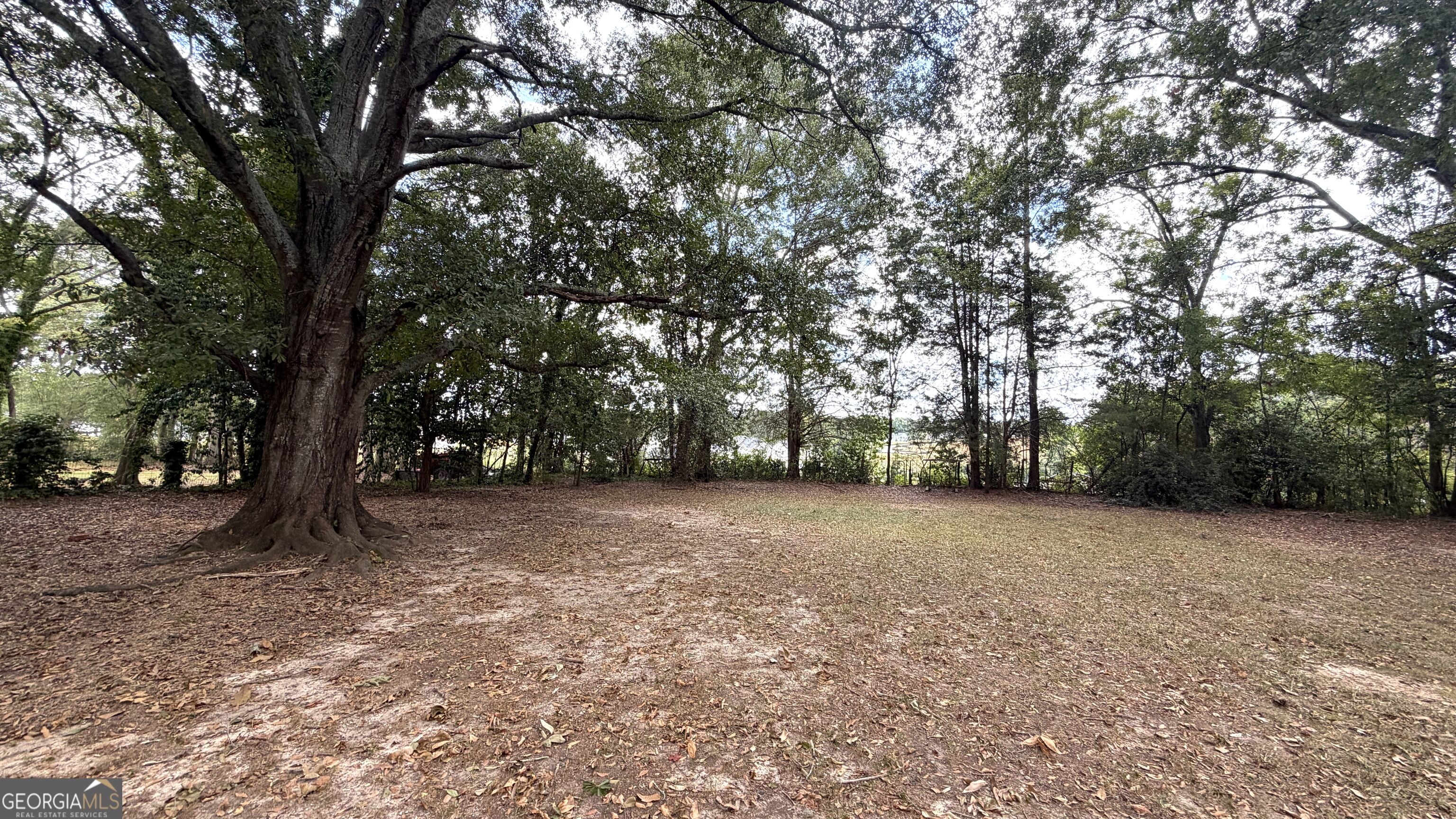 386 Chestnut Drive Se Property Photo 23