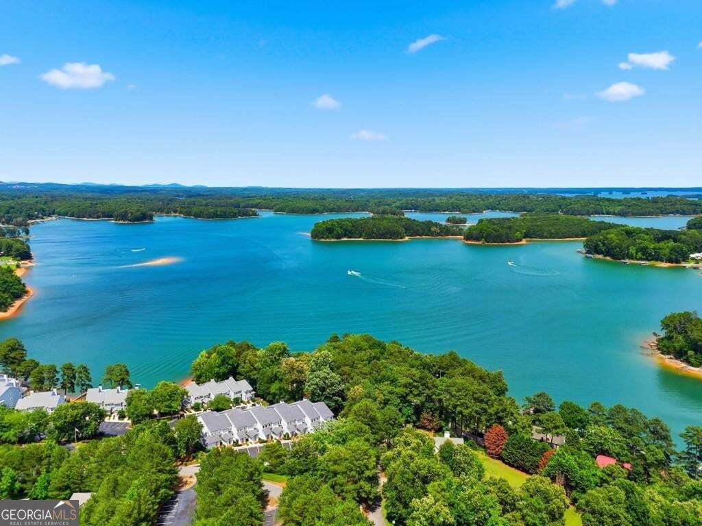 2085 Habersham Marina Road Property Photo 9