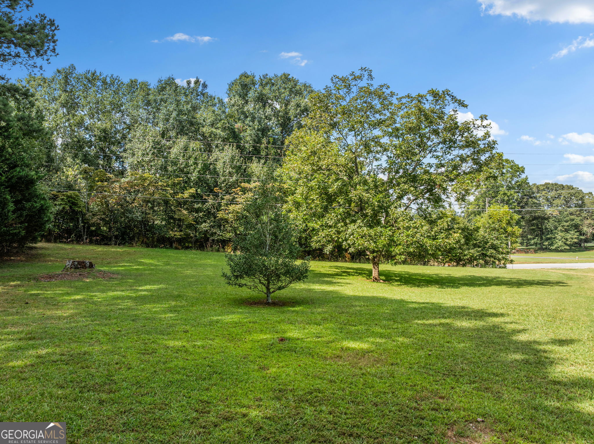 522 Duncan Bridge Road Property Photo 41