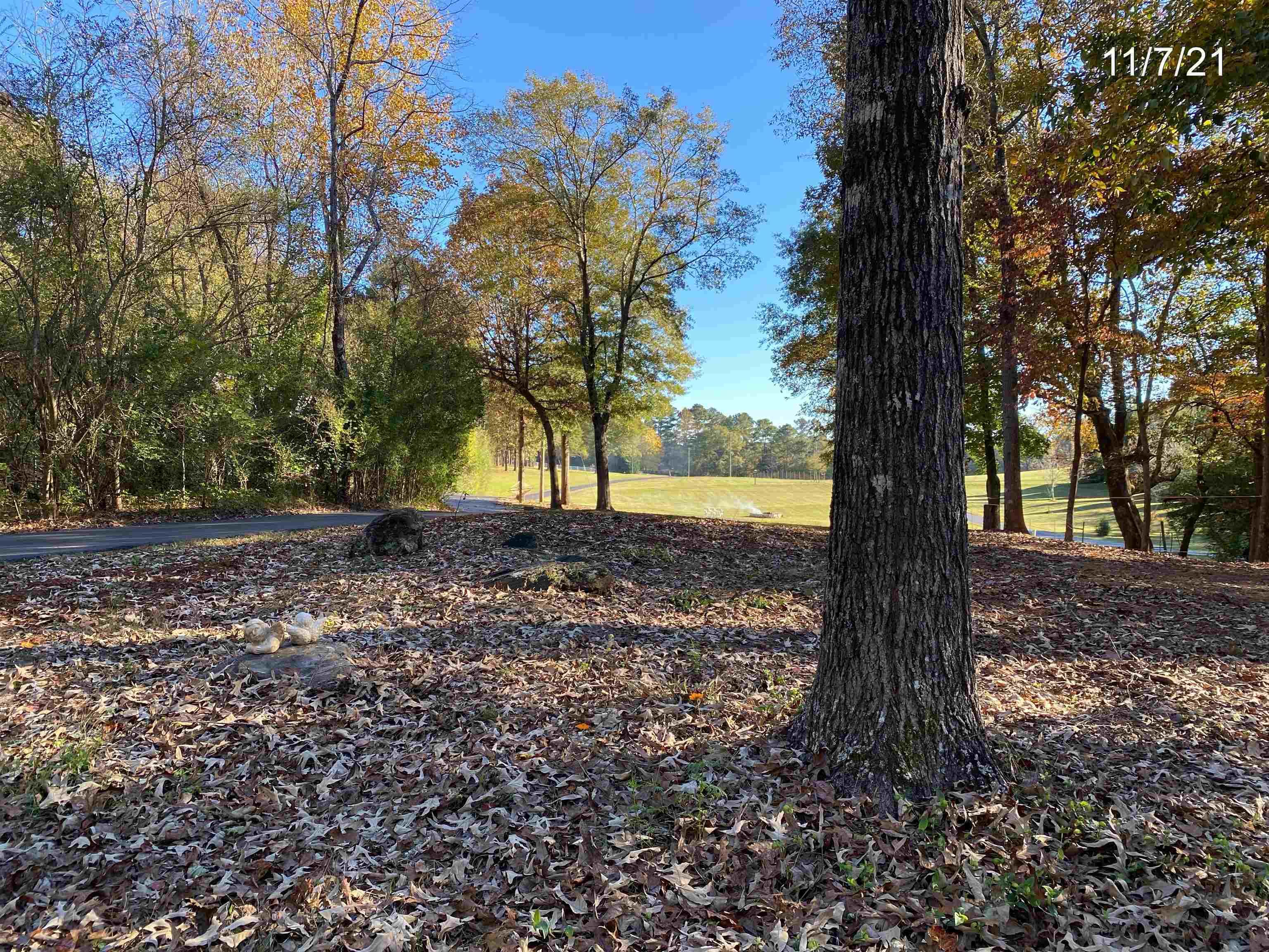 467 Hickory Grove Ch Road Property Photo 10