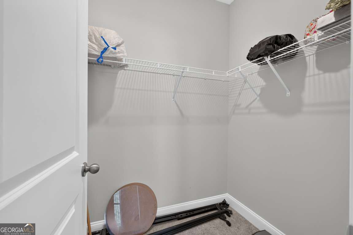 5270 Woodline View Circle Property Photo 19