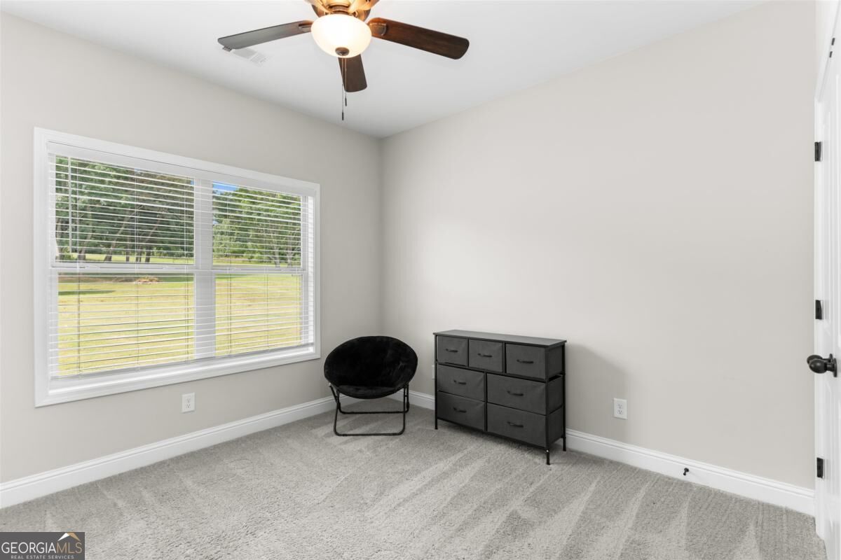 116 Alexander Lakes Drive Property Photo 27