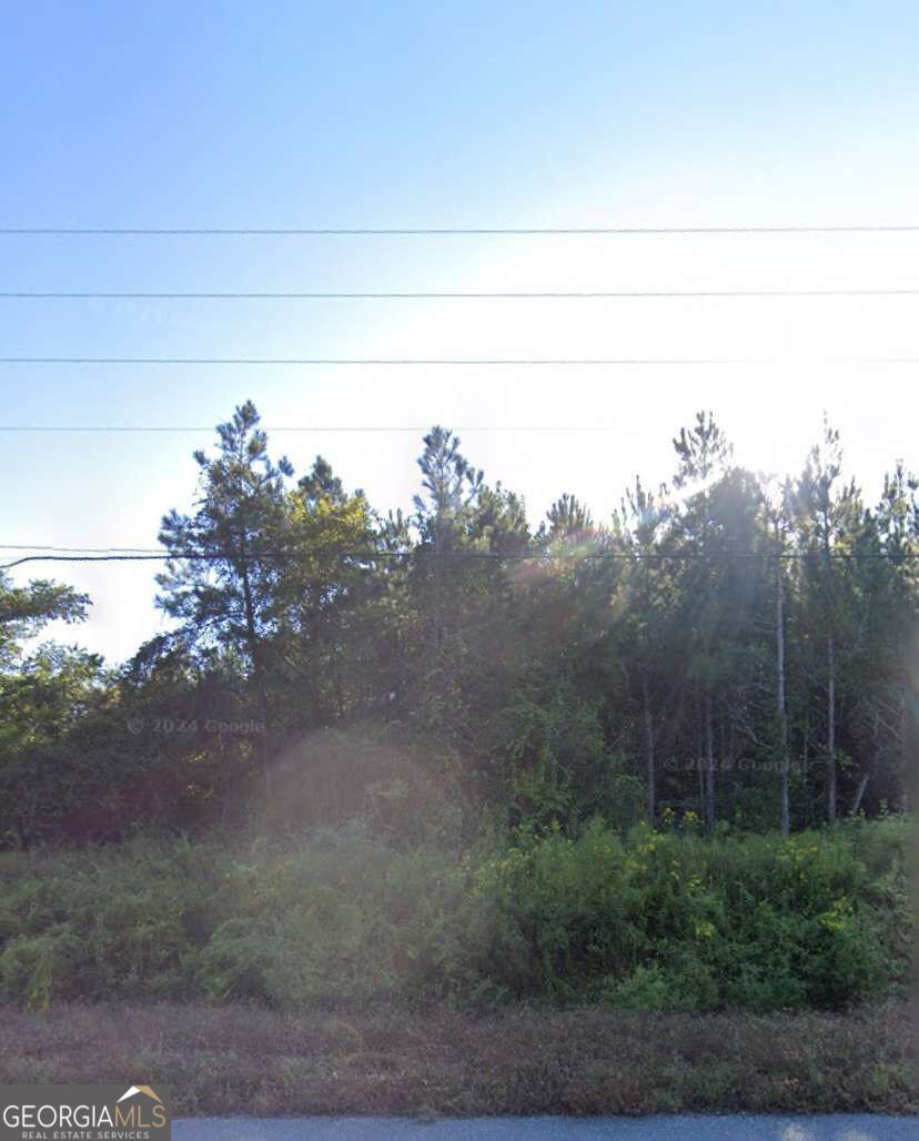 0 Willie Varnum Road Property Photo 2
