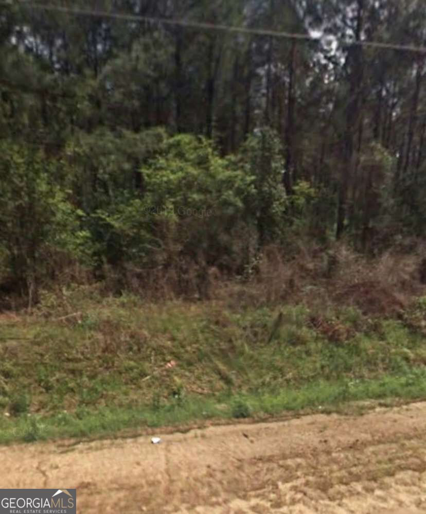 0 Willie Varnum Road Property Photo 3
