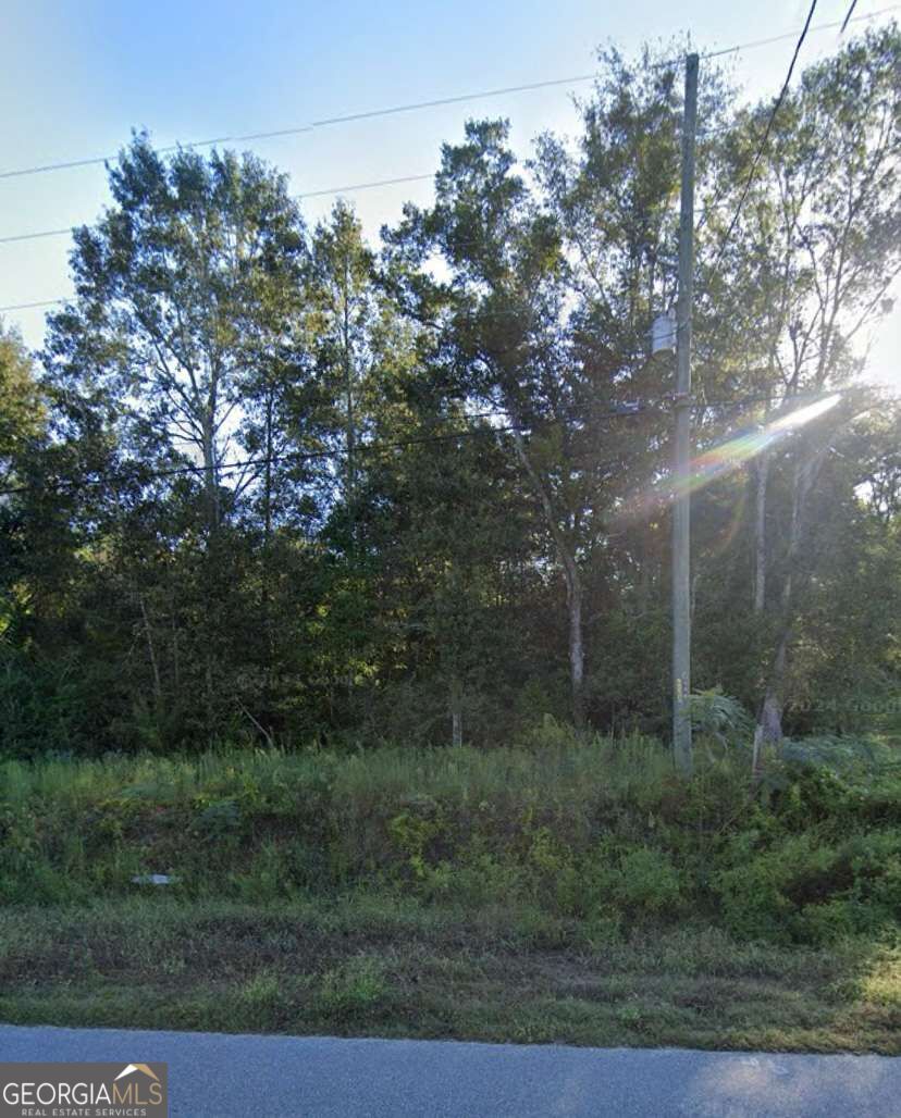 0 Willie Varnum Road Property Photo 4