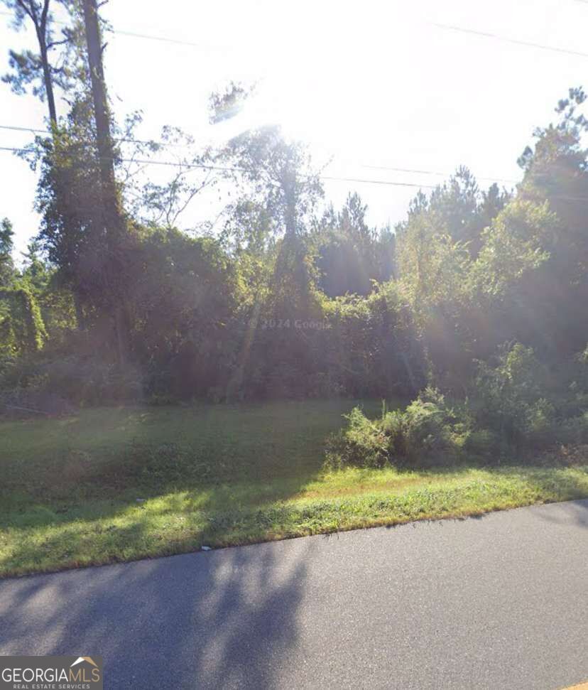 0 Willie Varnum Road Property Photo 5