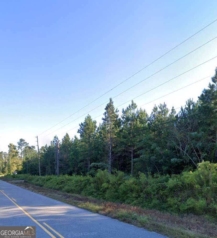 0 Willie Varnum Road Property Photo 6
