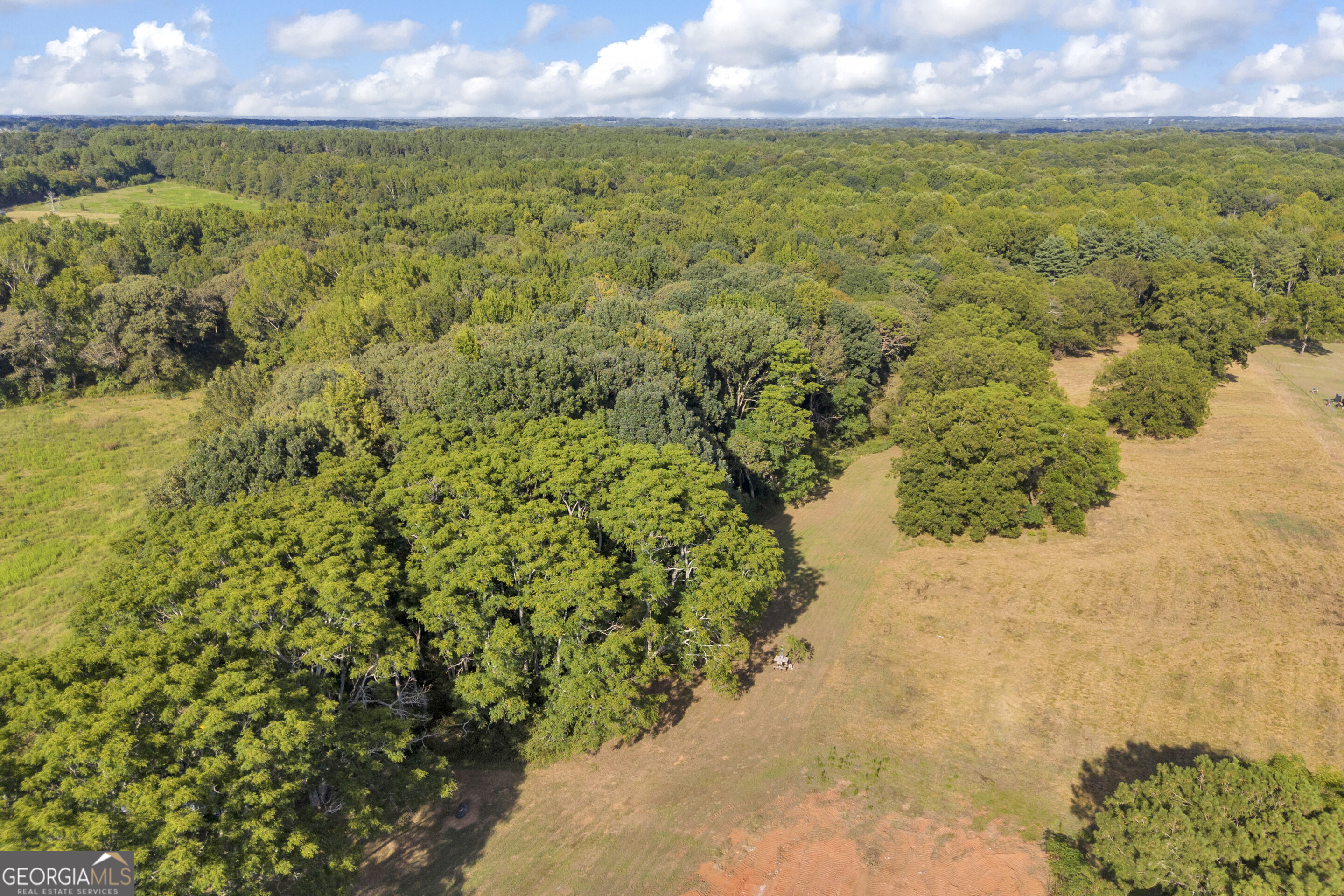 1347 Neese Commerce Road Property Photo 4