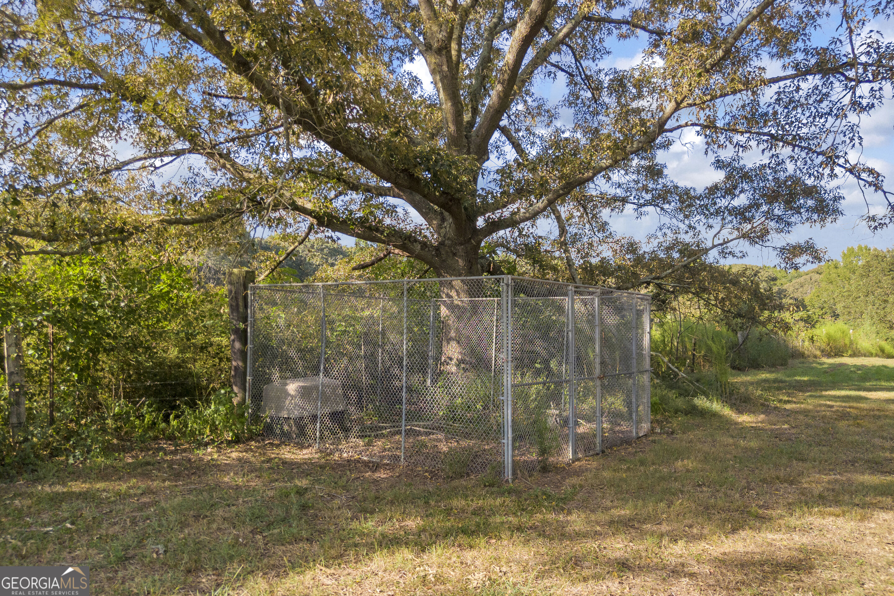1347 Neese Commerce Road Property Photo 10