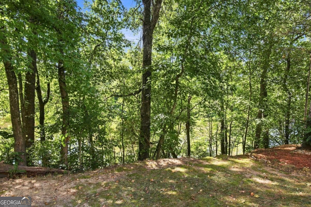 739 Reeves Lake Drive Sw Property Photo 45
