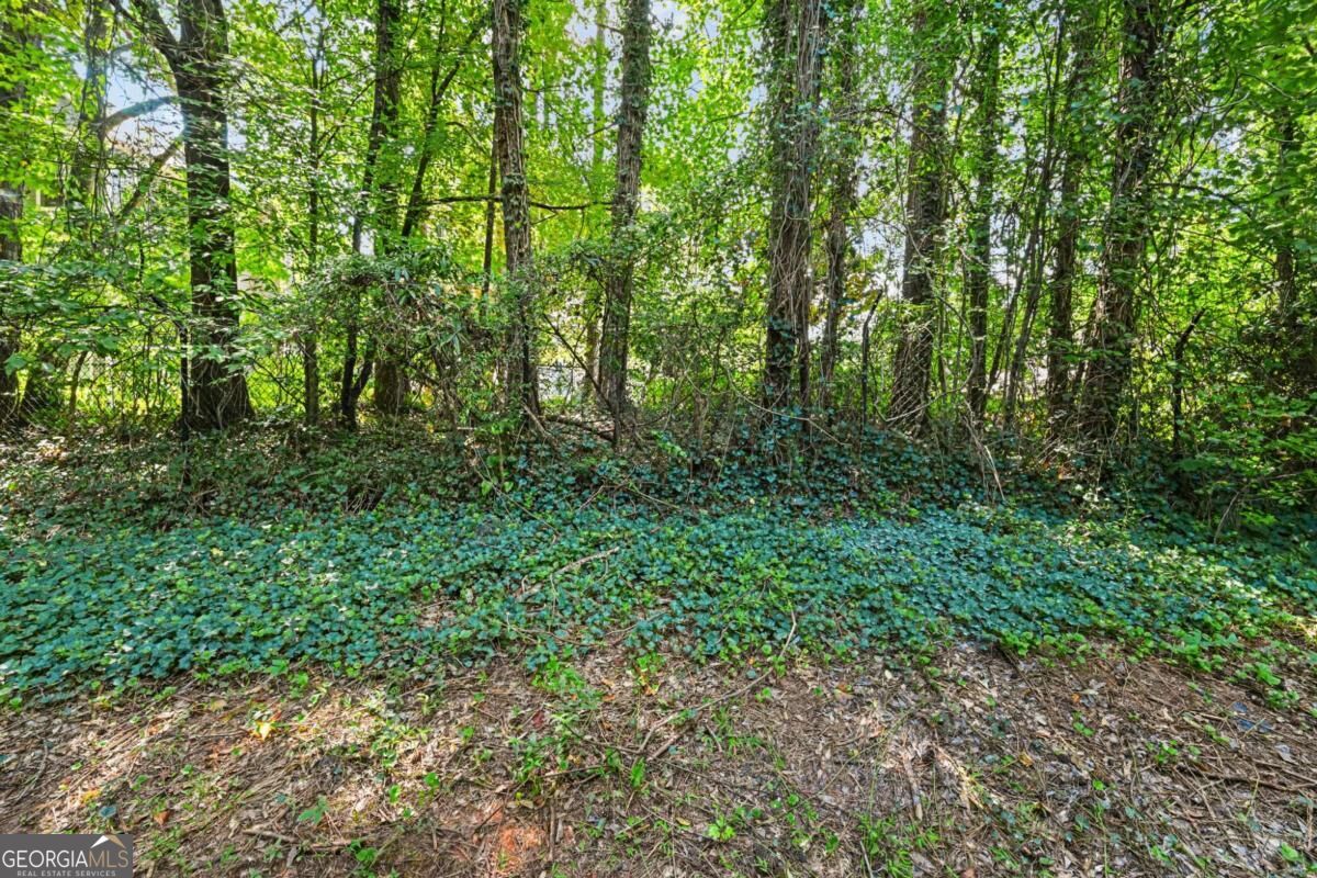 3038 Steeplechase Property Photo 42