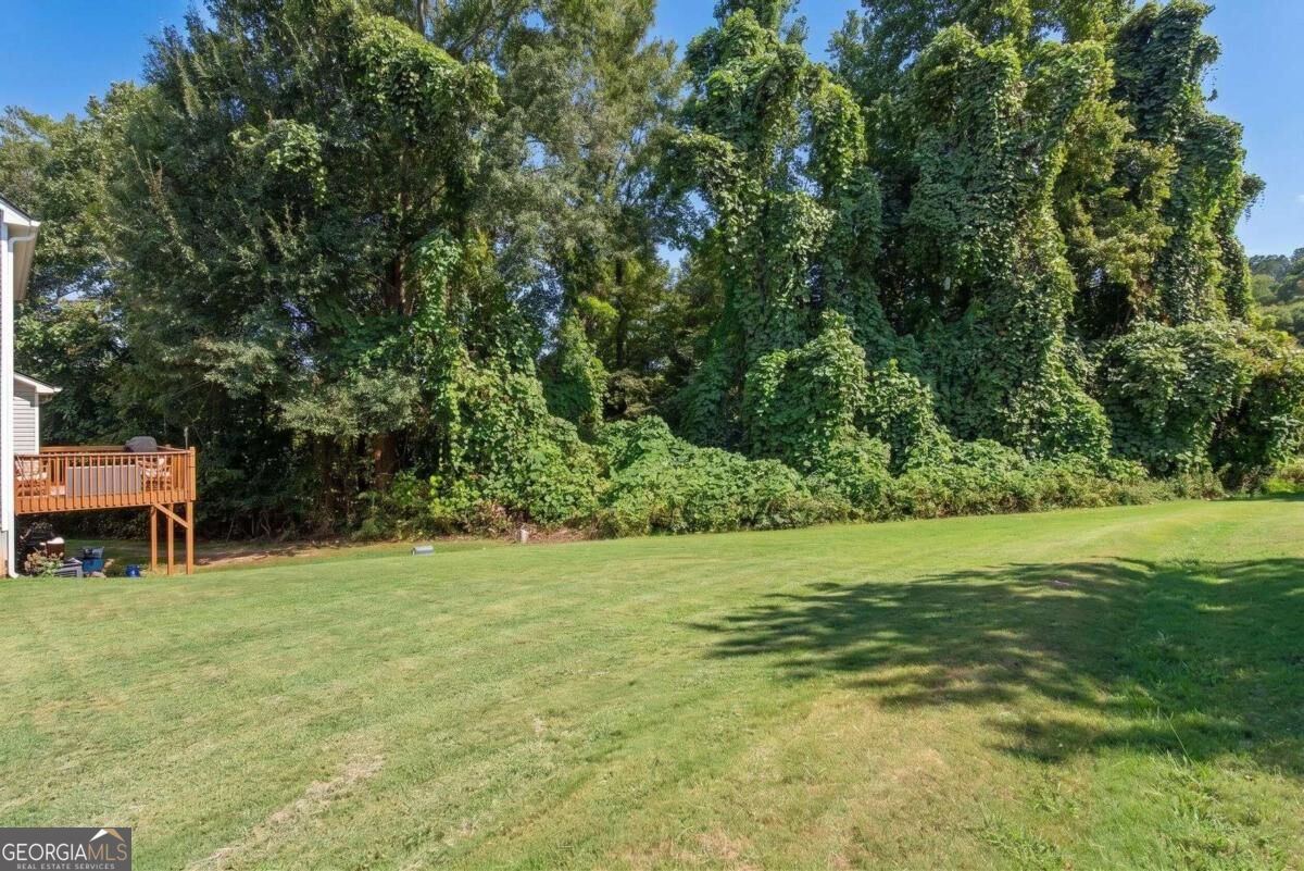 236 Shenandoah Drive Property Photo 34