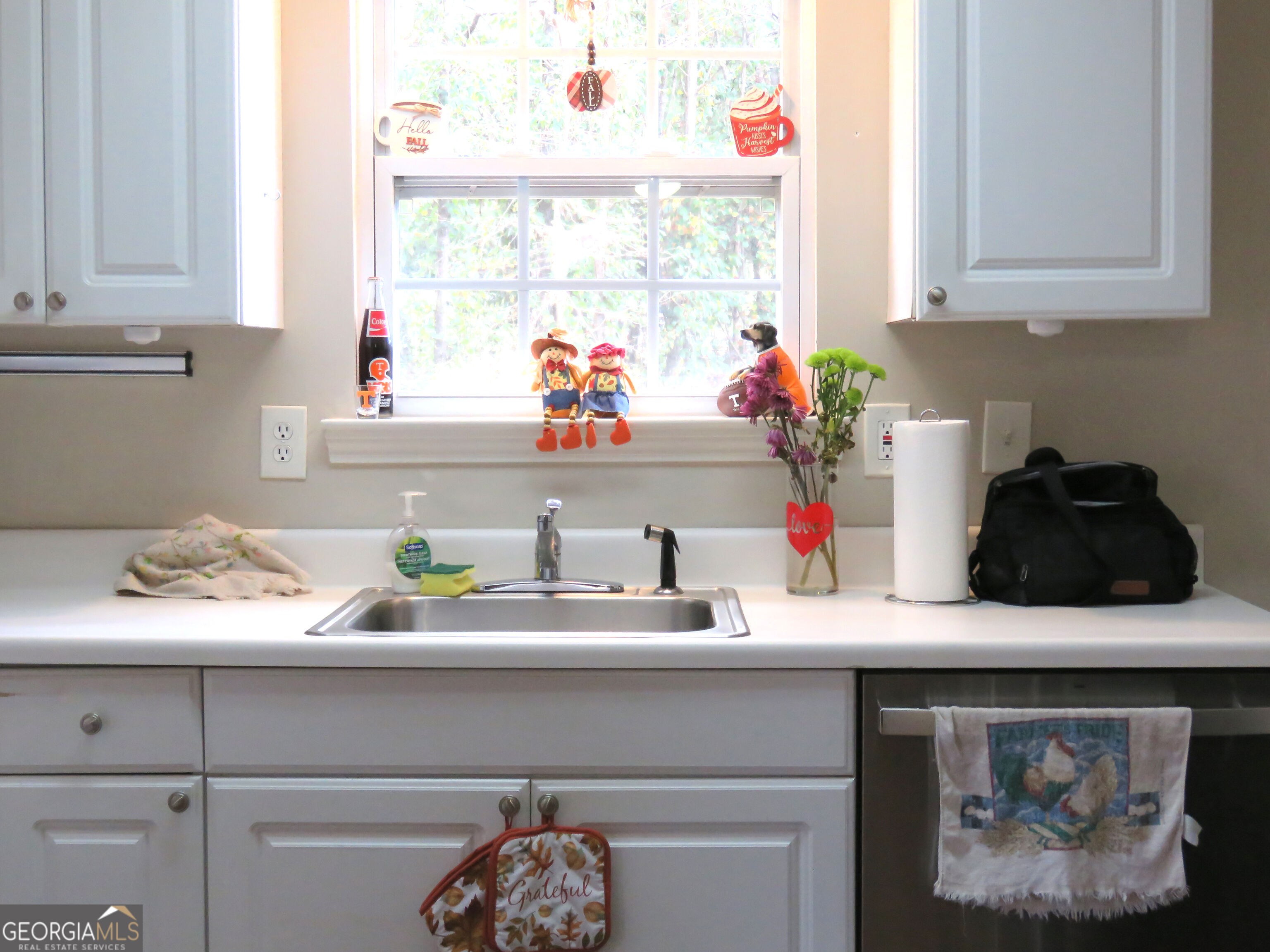 102 Chestnut Hill Drive Property Photo 99