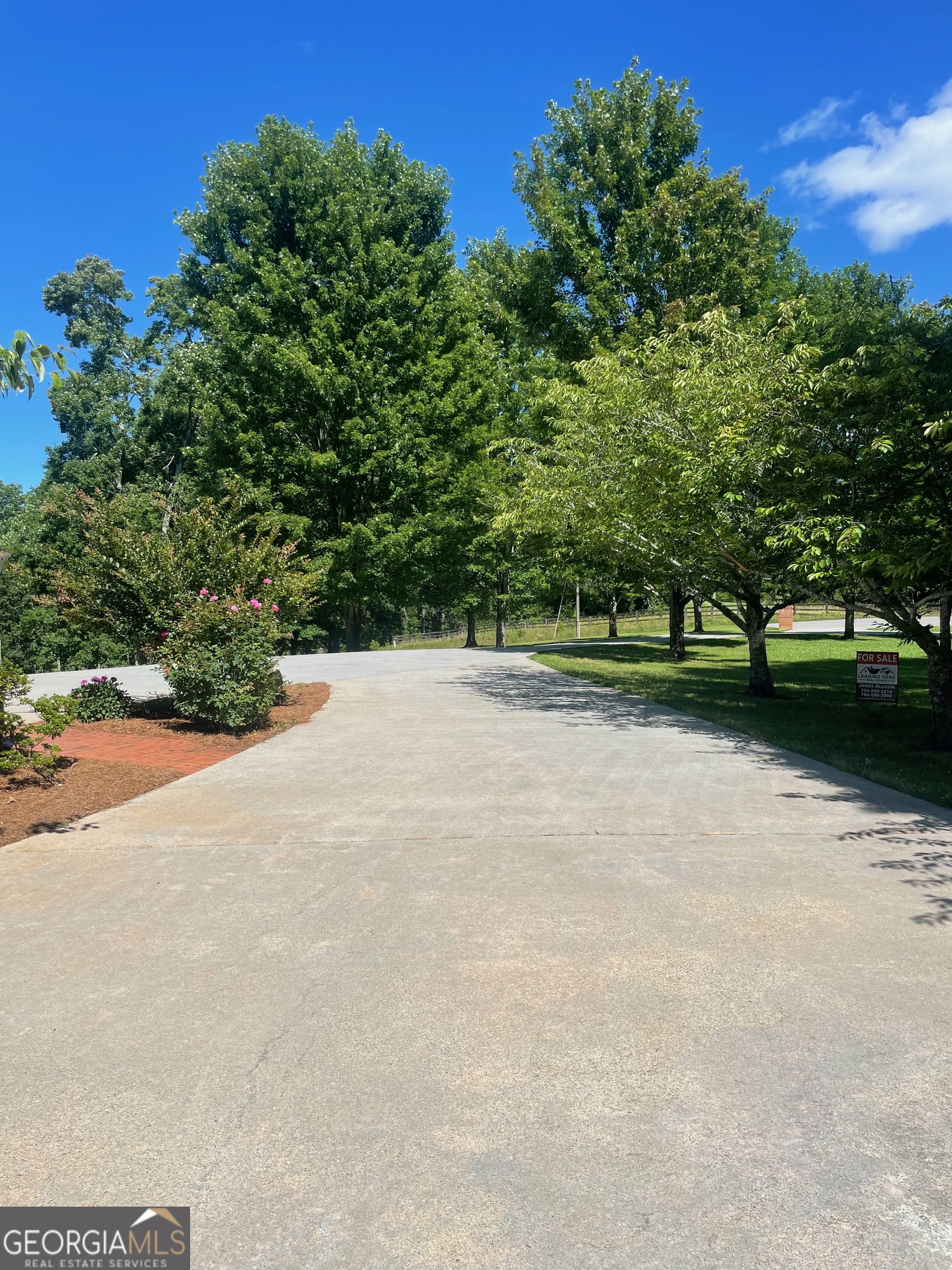 1545 Sam Bell Road Property Photo 13