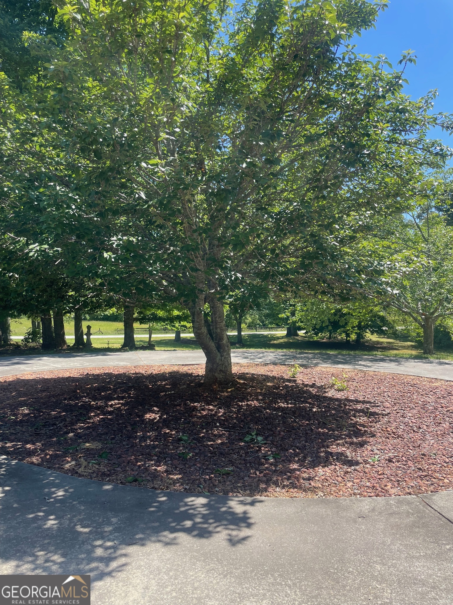 1545 Sam Bell Road Property Photo 46